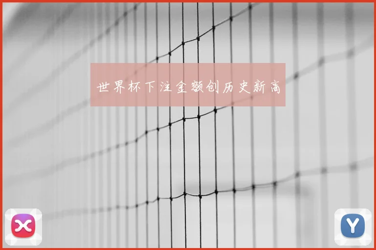 世界杯下注金额创历史新高